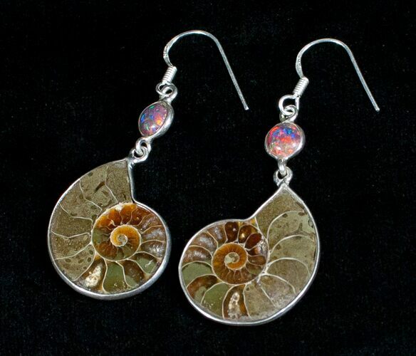 Stylish Ammonite Earrings - Sterling Silver #5107